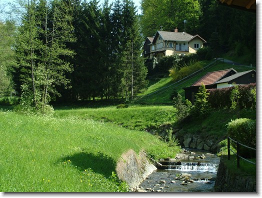 Nächstes Bild