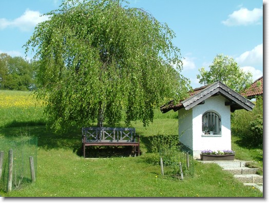 Nächstes Bild