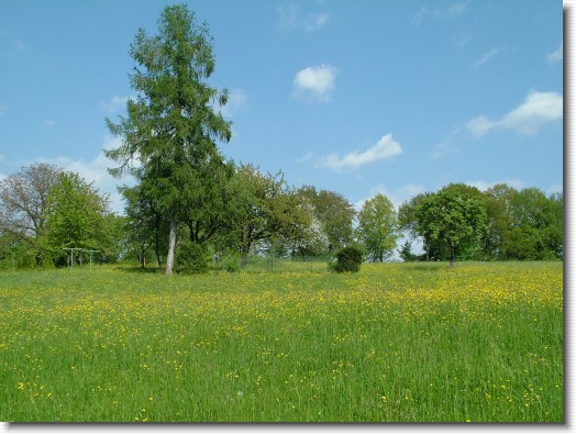 Nächstes Bild