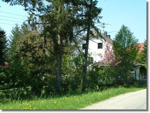 Nächstes Bild