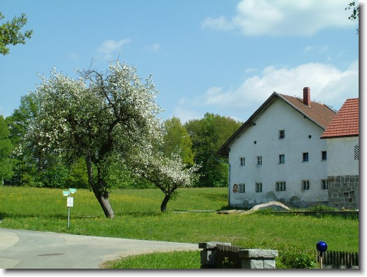 Nächstes Bild
