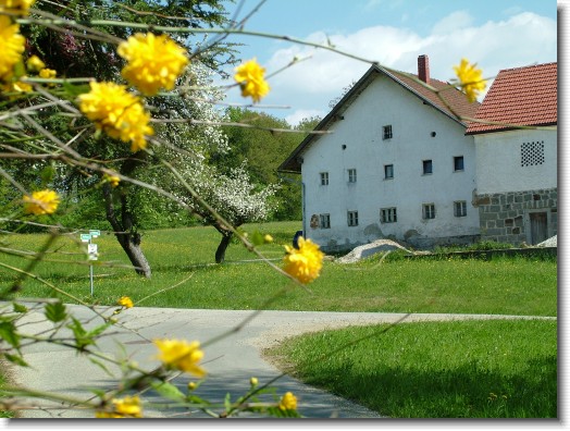 Nächstes Bild