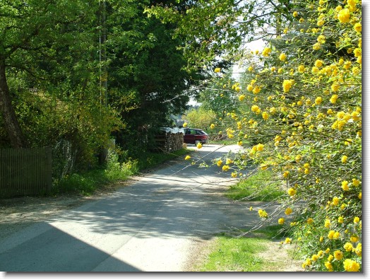 Nächstes Bild