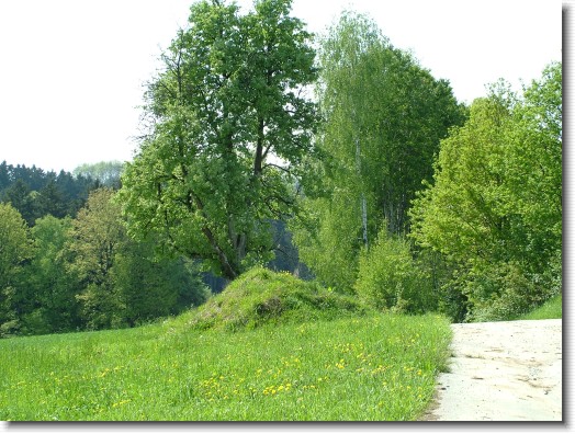 Nächstes Bild