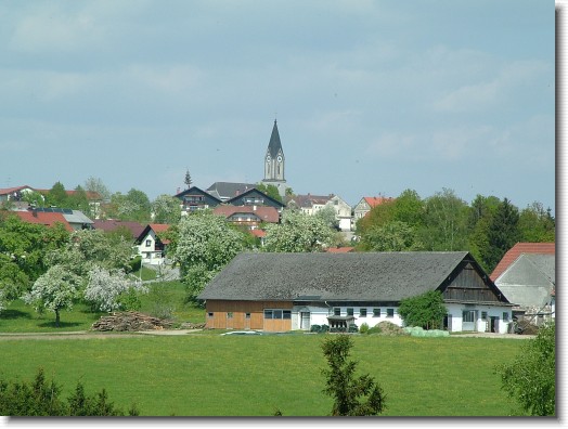 Nächstes Bild