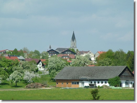 Nächstes Bild