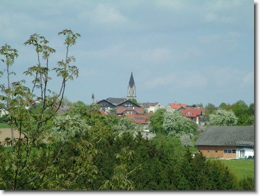Nächstes Bild
