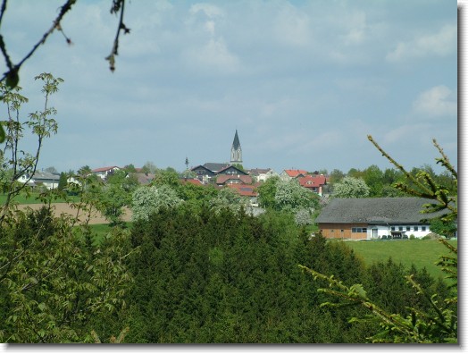 Nächstes Bild