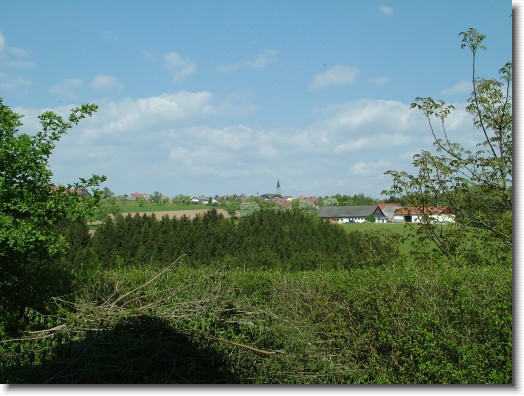 N&auml;chstes Bild