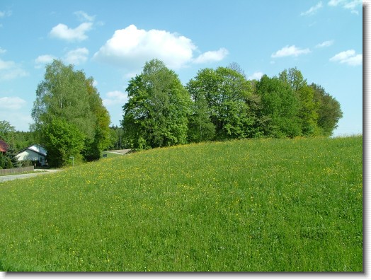N&auml;chstes Bild