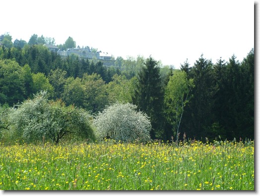 Nächstes Bild