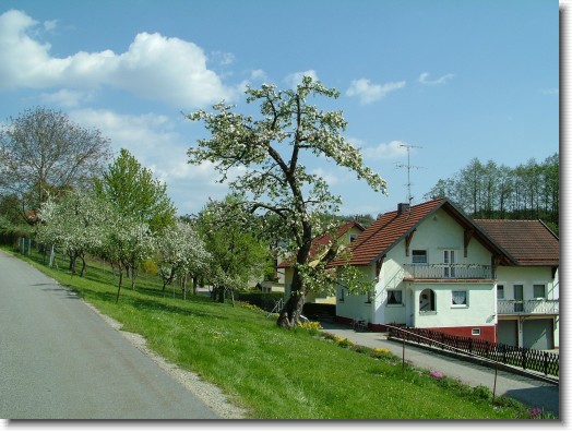 Nächstes Bild