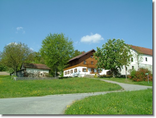 N&auml;chstes Bild