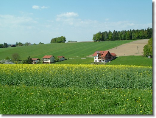 Nächstes Bild