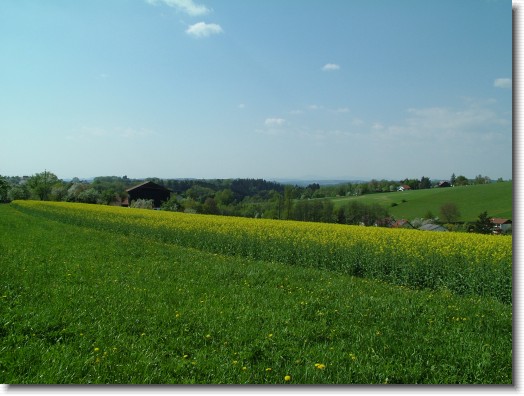 Nächstes Bild