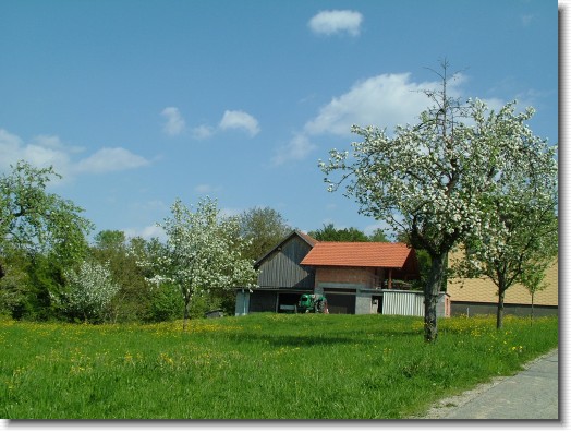 Nächstes Bild
