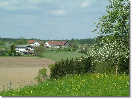 Nächstes Bild