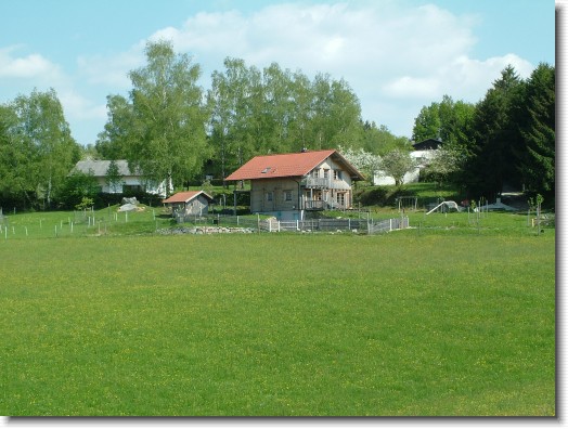 Nächstes Bild
