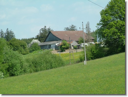 Nächstes Bild