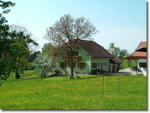 Nächstes Bild