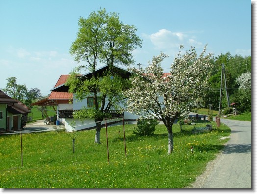 Nächstes Bild