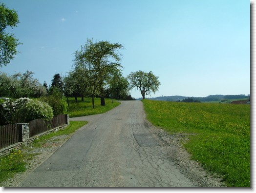Nächstes Bild