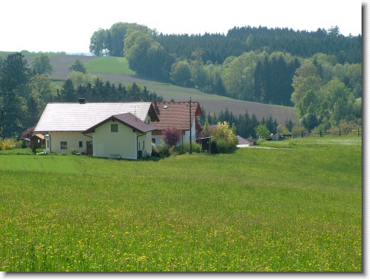 Nächstes Bild