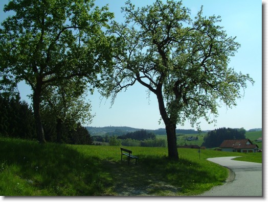 Nächstes Bild