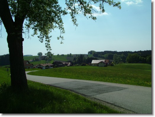 Nächstes Bild