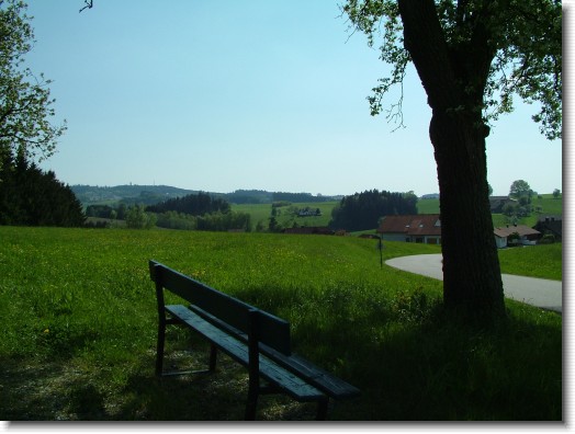 Nächstes Bild