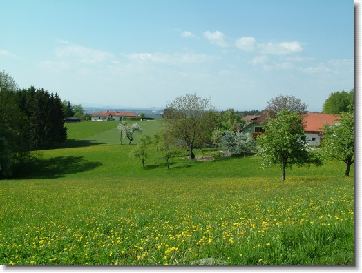Nächstes Bild