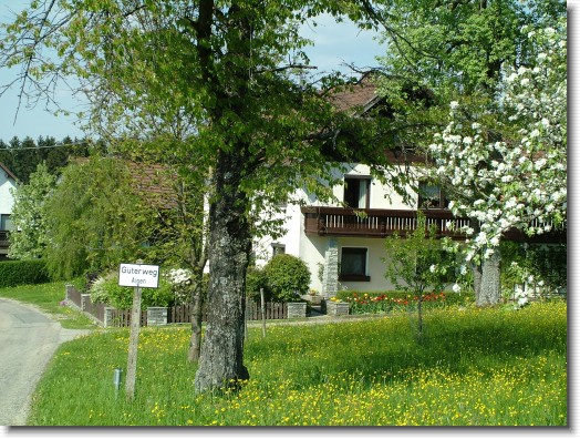 Nächstes Bild