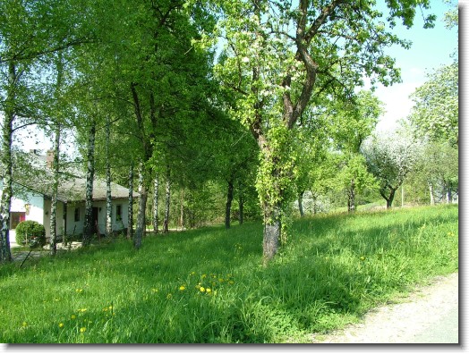 Nächstes Bild