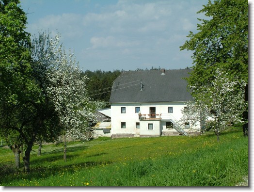 Nächstes Bild