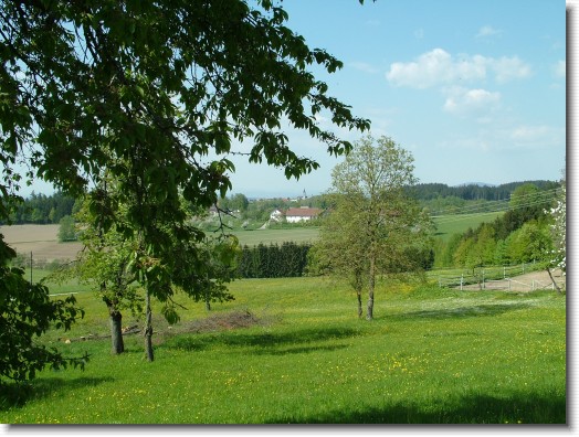 Nächstes Bild