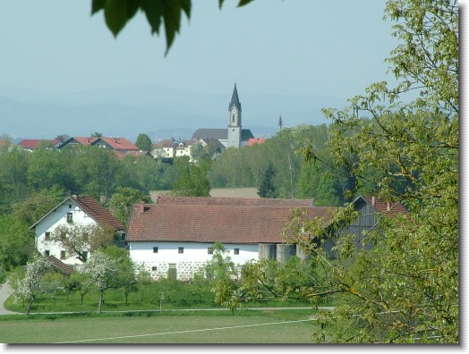Nächstes Bild