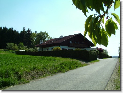 Nächstes Bild