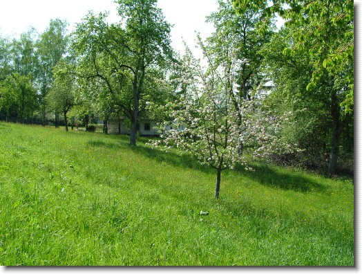 Nächstes Bild