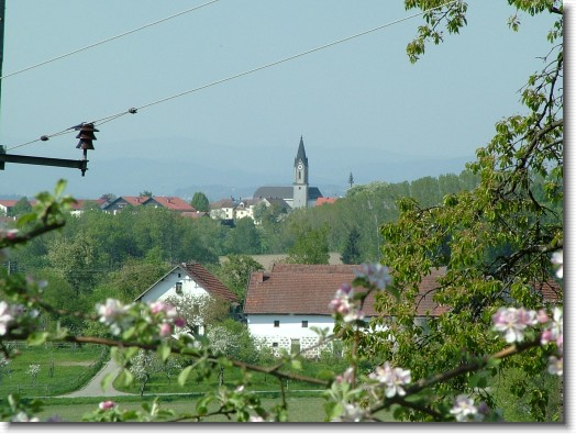 Nächstes Bild