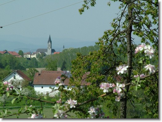 Nächstes Bild