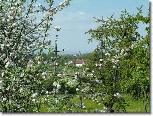 Nächstes Bild