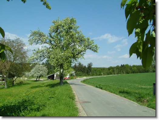 Nächstes Bild