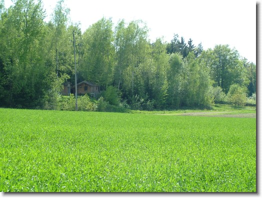 Nächstes Bild