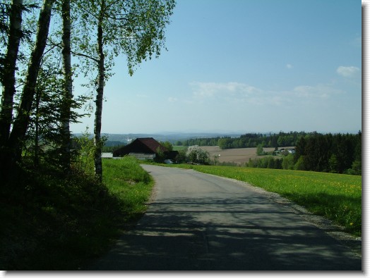 Nächstes Bild