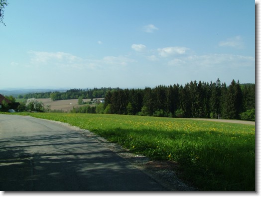 Nächstes Bild