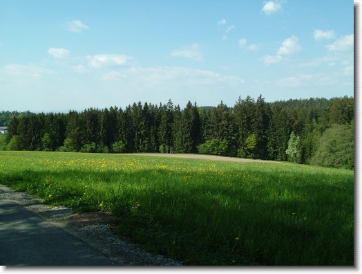 Nächstes Bild