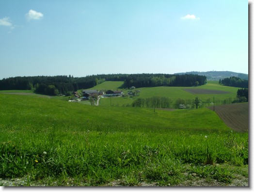 Nächstes Bild