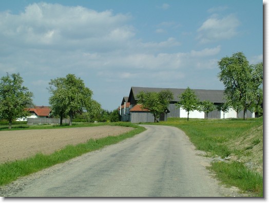 Nächstes Bild