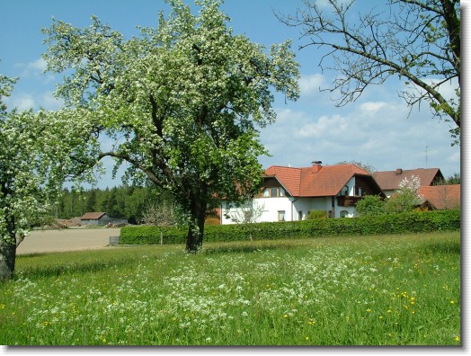 Nächstes Bild