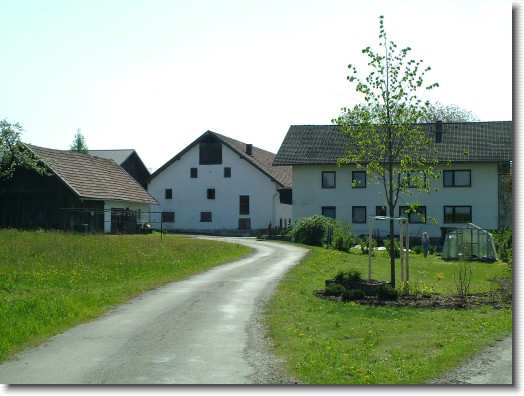 Nächstes Bild